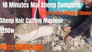 sheep hair cutting machine | sheep wool cutting machine price in India | sheep wool trimmer machine 