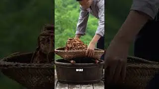 Ancient Paper-Making: Turning Tree Bark into Paper