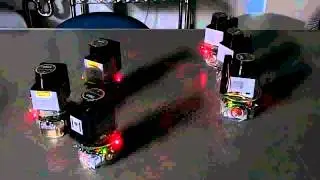 swarm robot behavior