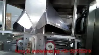 Automatc pouch baling machine (bag in bag secondary packing machine)