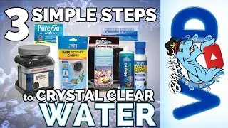 3 Simple Steps for Crystal Clear Water | Big Al's