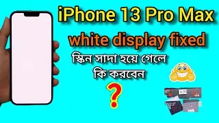 iphone 13 pro max white screen after update