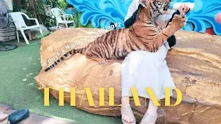 【タイ旅行🇹🇭】4泊5日夫婦旅 | サファリワールドで動物たちとの触れ合いを楽しむvlog#2