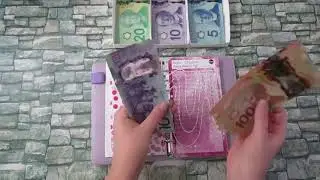Cash Stuffing | Oct 8 Paycheck | Wallet & Sinking Funds | Canadian Currency | TBM Inspired