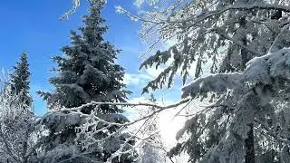 La Grande Vue,Sentier des Caps, Charlevoix!