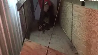 K9 Attic Deployment System
