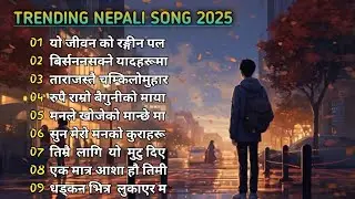 Latest Nepali Viral Folk Song | Nepali Lok Pop Song Playlist 🎵 
