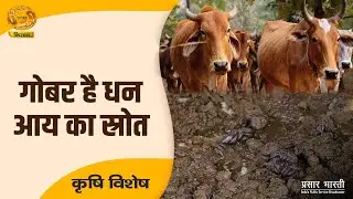 Krishi Vishesh: गोबर है धन आय का स्रोत | DD Kisan | Dec. 25, 2025