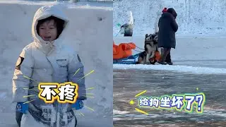 混血萌娃哈爾濱撒野實錄！張拿鐵崽奧達冰雪玩鬧，笑到腹肌疼#舌尖上的拿鐵#達鐵姐弟的日常#搞笑 #文化差異 #壹定要看到最後