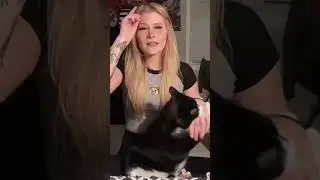 #cat #funny #happycats #catmemes #music #memes #trending #trendingshorts #tiktok #new #reels #SJ