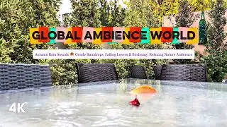 Autumn Rain Sounds 🍁 Gentle Raindrops, Falling Leaves & Birdsong | Relaxing Nature Ambience