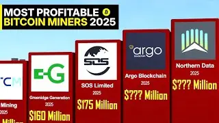 These Bitcoin Miners Made a Fortune in 2025..