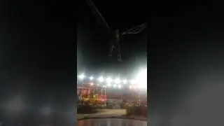 Bunjing Jumping #shorts