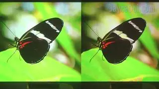 M18 Successor - AUN AKEY6 / M19 Best Native 1080P Projector 2019 - Life Untouched 4K Video Sample