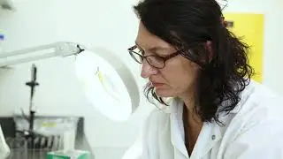 Dr. Patricia Wolf Veiga - Bee Health and Molecular Diagnosis