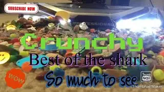 It's All About The Shark | Favorite Clips || Brushroll Crevice Wand Turbo Tool.. It&rsquo;s all here!