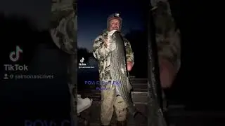 Current Striped Bass Report!🔥