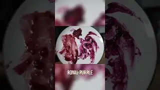 Homemade Jam: Electric Purple vs. Store-Bought Brown! #shorts