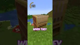 Can You Spot The Fake Minecraft Fact?