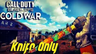 Best Knife Class Setup in Black Ops Cold War!