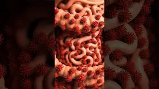 What Happens To Your Gut When You Are Stressed? 🧠💥