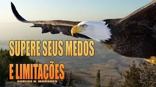 O primeiro voo da &aacute;guia