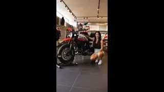 There's a new kid on the block!! (Scrambler Urban Motard)
