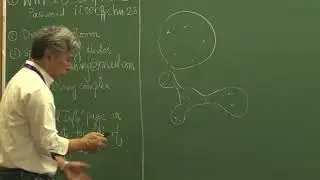 Scaling limits of quadratic rational maps and trees of spheres