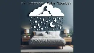 Birds And The Storm