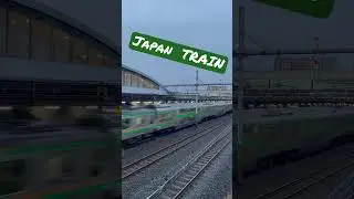 Mind-Blowing Speed: Japanese Commuter Train Blazes Through Station! #japanshorts #japantrain #japan