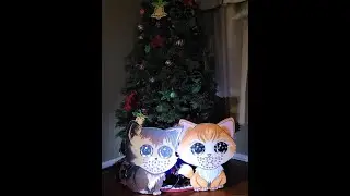 Dig Octa - Xlights - Christmas Tree 2023 - Stray Cat Strut