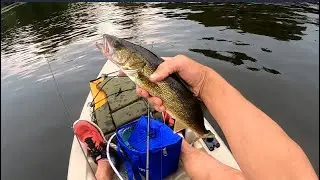 Walleye Fishing in Holcombe along with Other Species (Catch, Clean, Cook)
