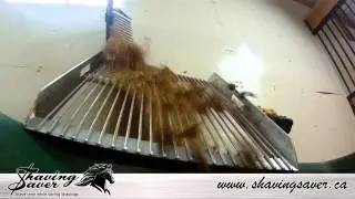 Shaving Saver