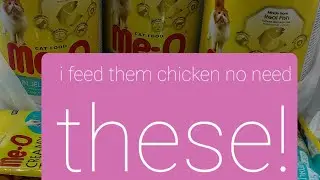 I FEED THEM #chickenmeat with #carrots and they Like it
