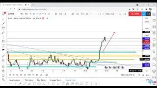 EUR/NZD New Setup To Catch 300 Pips