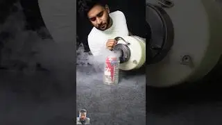 #kingfisher #experiment #fyp #fypviral #fypシ゚viral