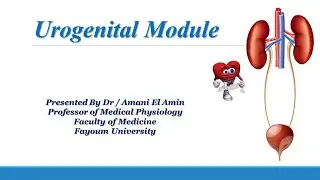 (The Renal Countercurrent Mechanism (Revision