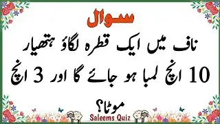 Urdu Quiz - Islamic Questions and Answers Urdu - Islamic Paheli - Islami Sawal Jawab - Saleem's Quiz