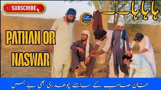 Pathan Or Naswar Funny Video Clip 2025 |GM Official #funnypathan#khankinaswar #funnypathan