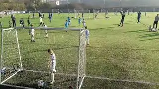 gol budimir