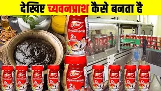 फैक्ट्री में कैसे बनता है च्यवनप्राश ? How is Chyawanprash made in factory? Dabur Chyawanprash