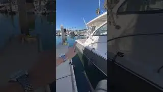 34 ft Persuit Boat Wrap