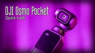 DJI Osmo Pocket Quick Look