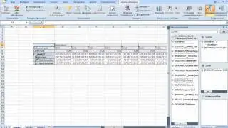 SAP BusinessObjects Advanced Analysis for Excel