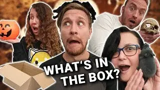 Что в коробке? | Хэллоуин 2019 | The West