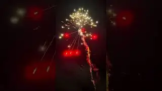 Dragon&rsquo;s ivory tower 16shots testfire #diwali #fireworks #fypシ゚viral #fyp