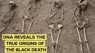 Ancient DNA Reveals the TRUE Origin of the Black Death
