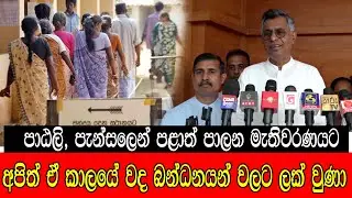 පා ඨලි පැන්සලෙන් පළාත් පාලන මැතිවරණයට #mojonewslk #trending #politics