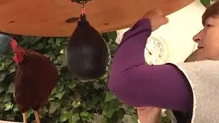 Punch Drumming with a Balazs Lazer Speed Bag