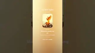 this song made me cry, The little fighter